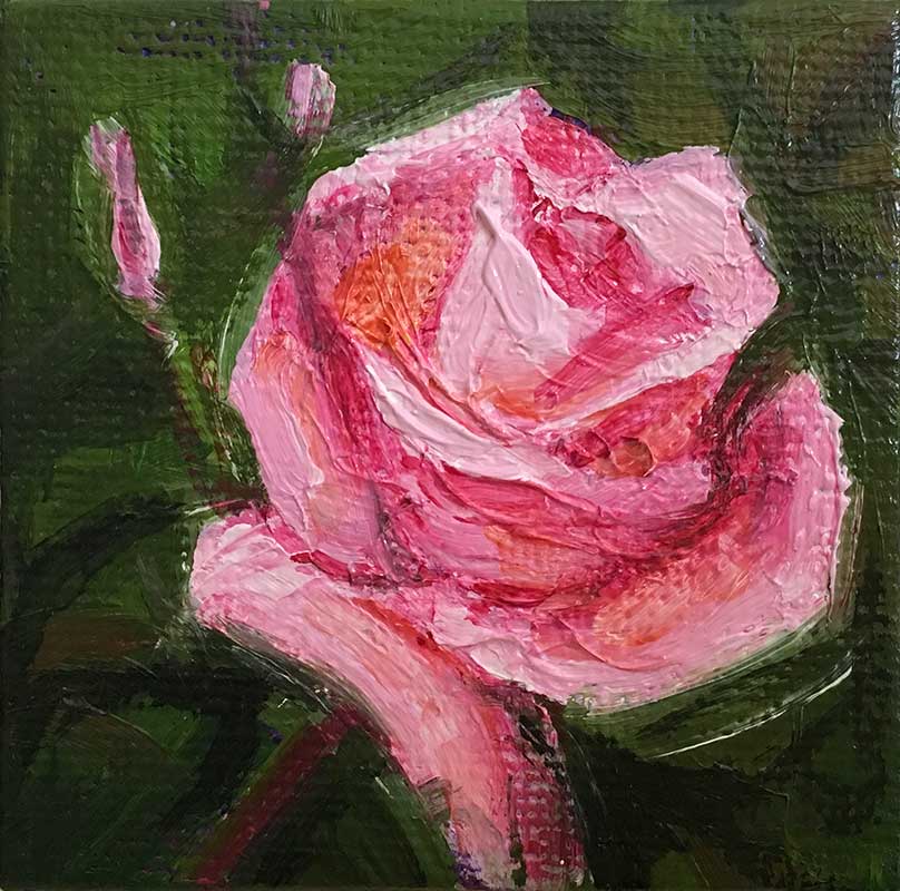 Rose Pink miniature oil painting by Kim Victoria