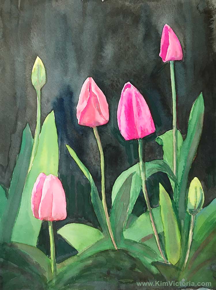 Pink Tulips watercolor  by Kim Victoria