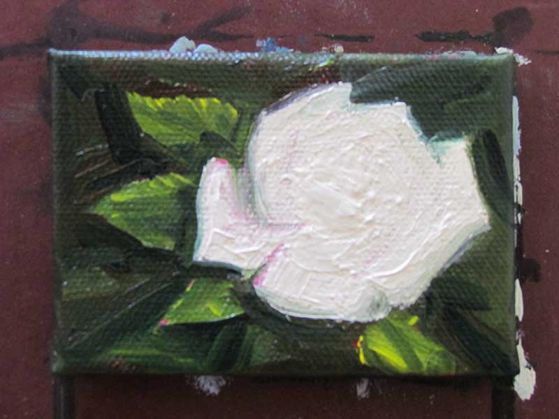 Underpainting layer for Rose Peace oil miniature by Kim Victoria
