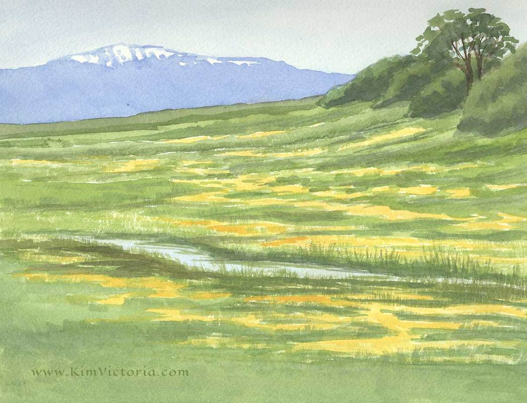 Yellow Carpet Meadow watercolor  by Kim Victoria